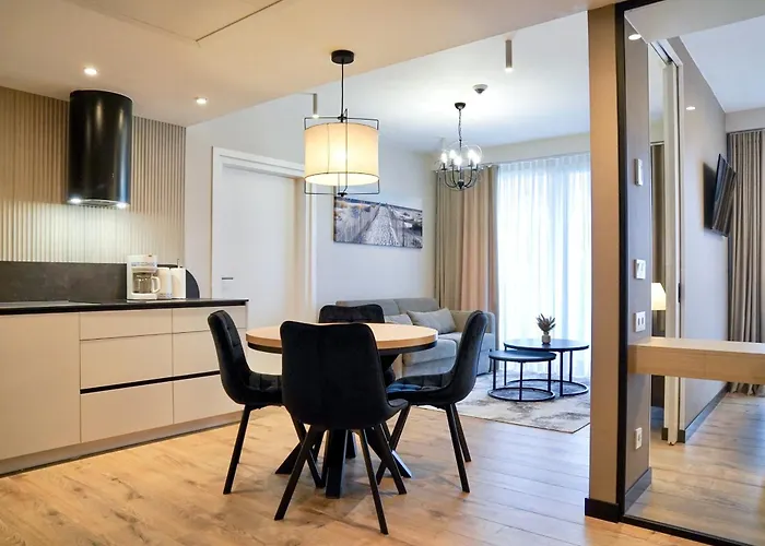 Apartment Loft Premium By Baltic